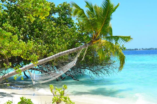 Image agence SOTRAVELING